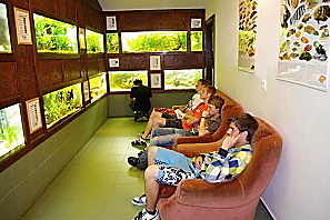 akvaristika