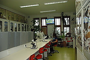 laborato�
